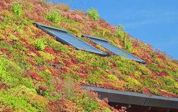 Byfleet living roof systems